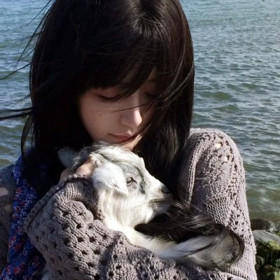 怪化猫